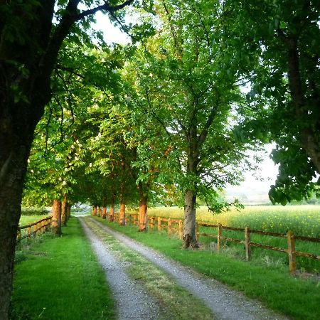 Gite Le Tremblay Thianges Exterior photo
